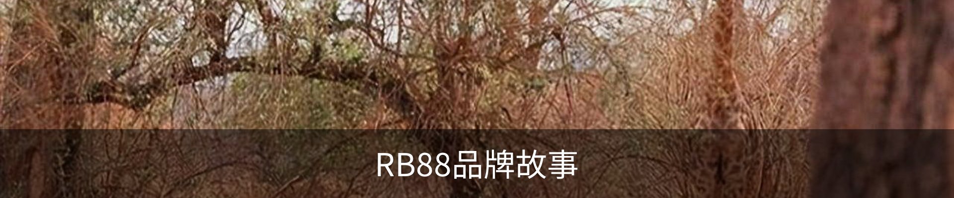 RB88品牌故事